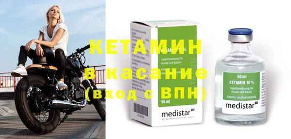 сатива Новодвинск