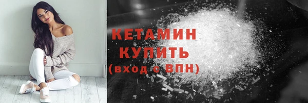 сатива Новозыбков