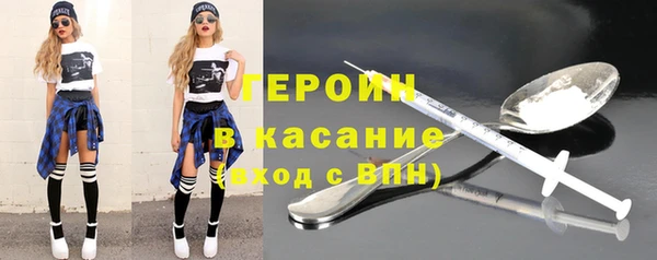 сатива Новозыбков
