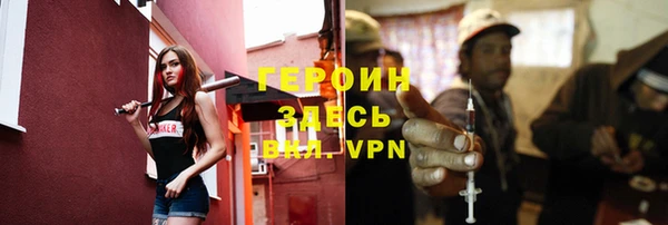 сатива Новозыбков