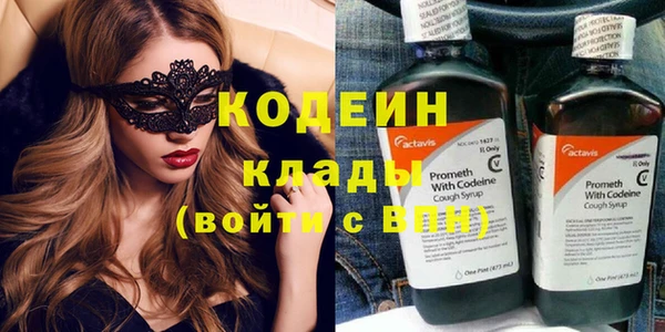 сатива Новодвинск