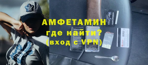 сатива Новозыбков