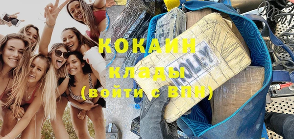 сатива Новозыбков
