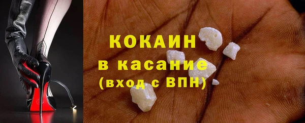 сатива Новодвинск