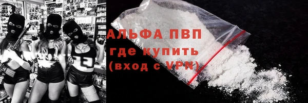 сатива Новодвинск