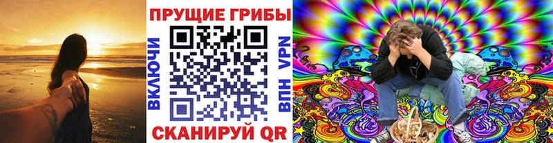 Псилоцибиновые грибы мицелий  Сосновоборск 